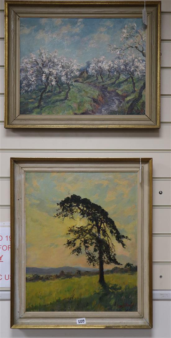 Ernest Knight (1915-1995), two oils, Apple Blossom and pine tree in a landscape, signed, 34x 44cm and 49 x 39cm